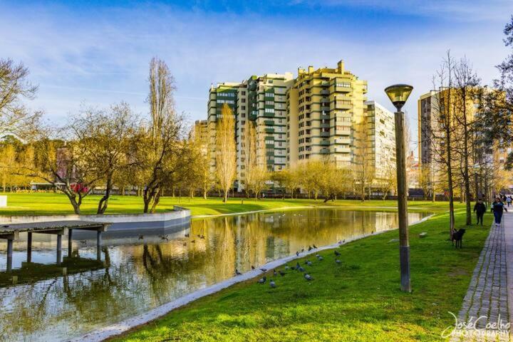 Appartement Executive In The Heart Of Lissabon